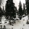 mrtzlety73